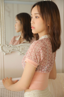 消失的大象